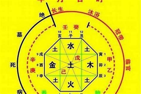 喜用神木職業|八字喜神木行业 (喜用神水木做什么行业)